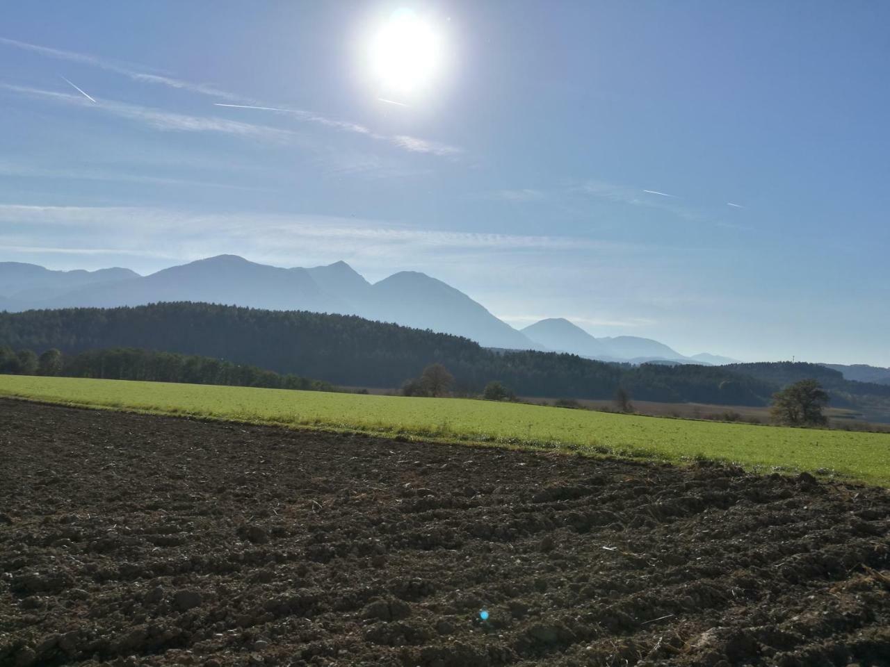 Landgasthof Piroutz Sankt Kanzian am Klopeiner See Extérieur photo